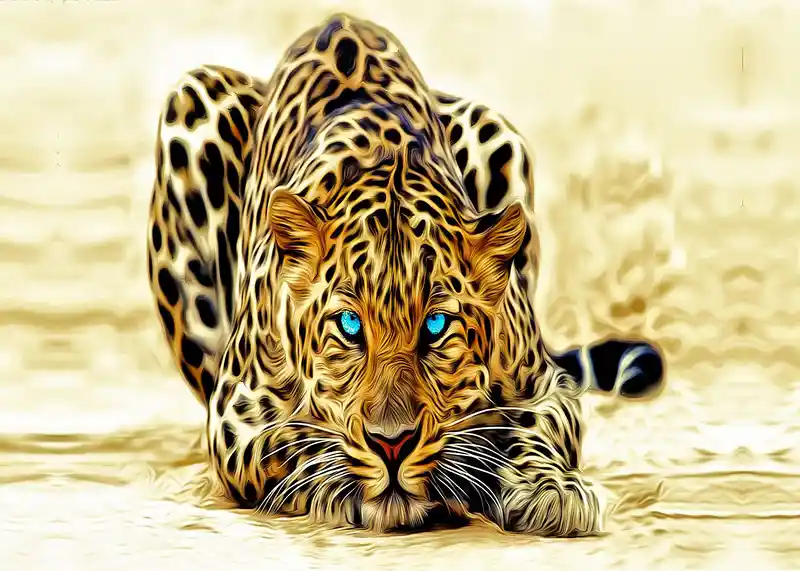 farshan
